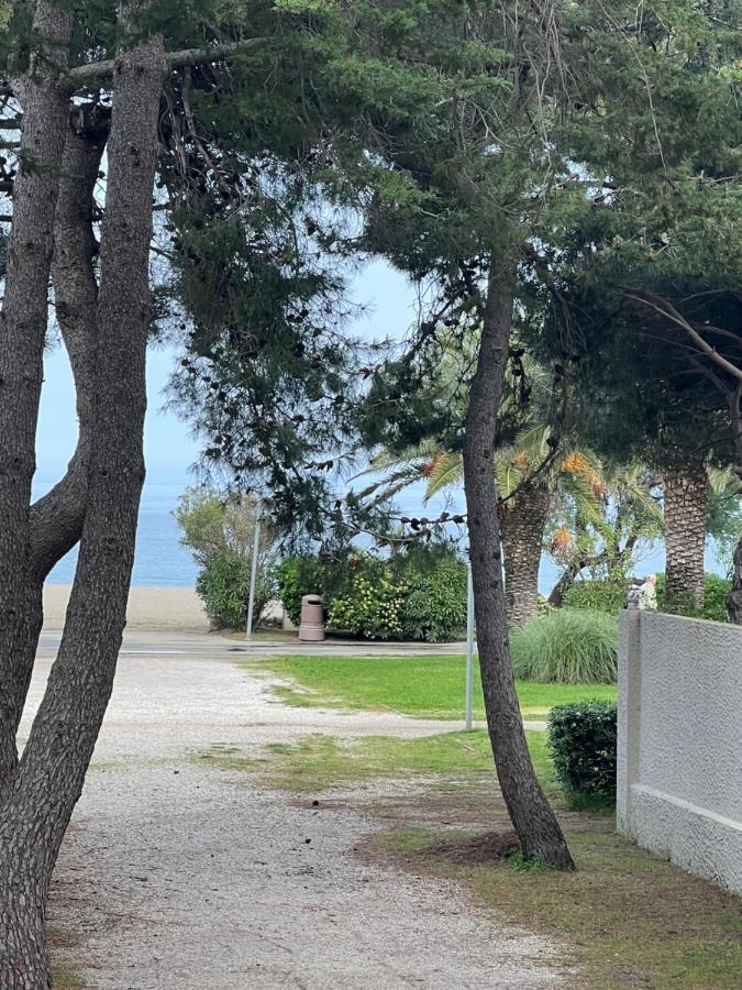 Appartement Grand F3 Vue Centre Proche Commerces